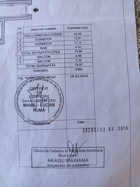 Titan, Aleea Ninsorii,